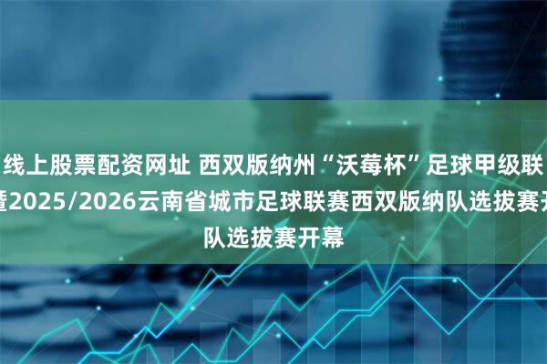 线上股票配资网址 西双版纳州“沃莓杯”足球甲级联赛暨2025/2026云南省城市足球联赛西双版纳队选拔赛开幕